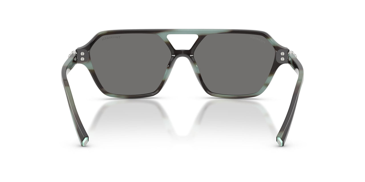 844381 - Tortoise - Dark Grey Polar