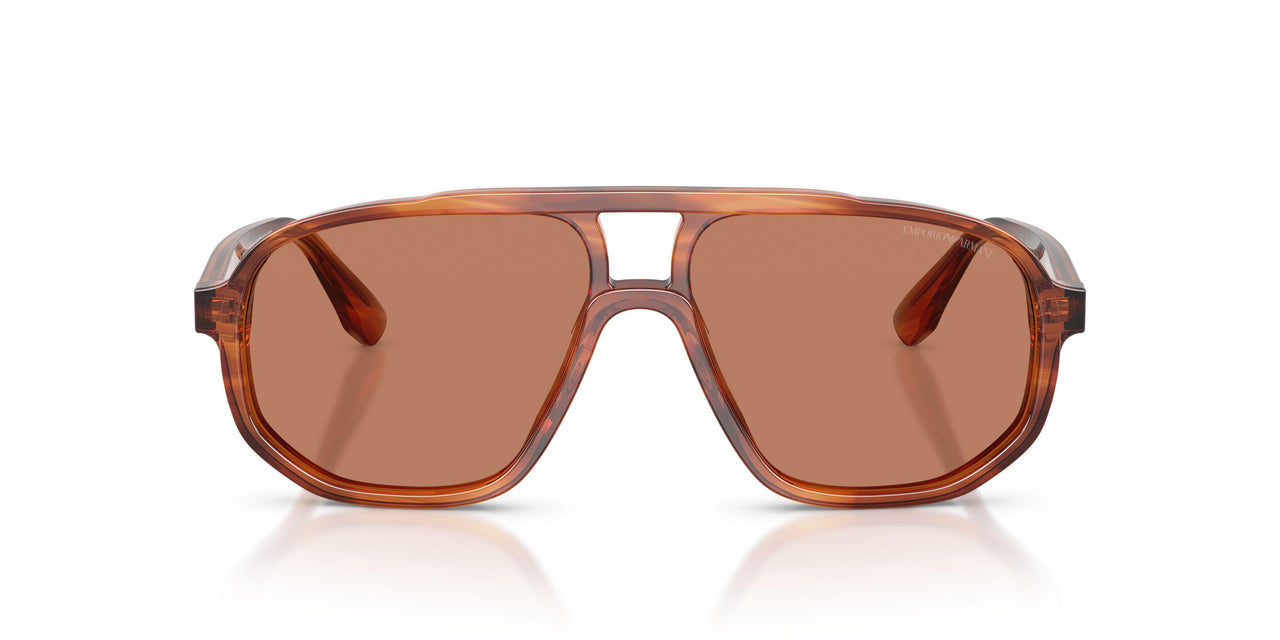 632973 - Brown - Brown