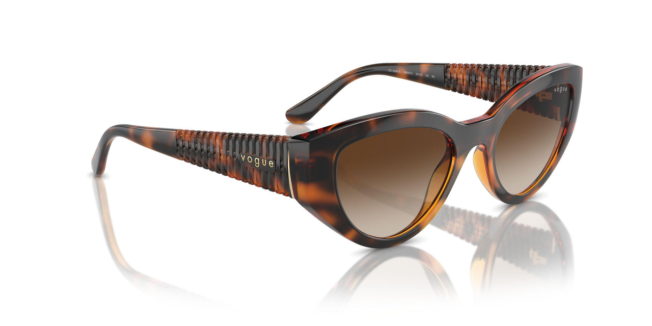 W65613 - Brown - Gradient Brown