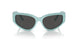 838887 - Blue - Dark Grey