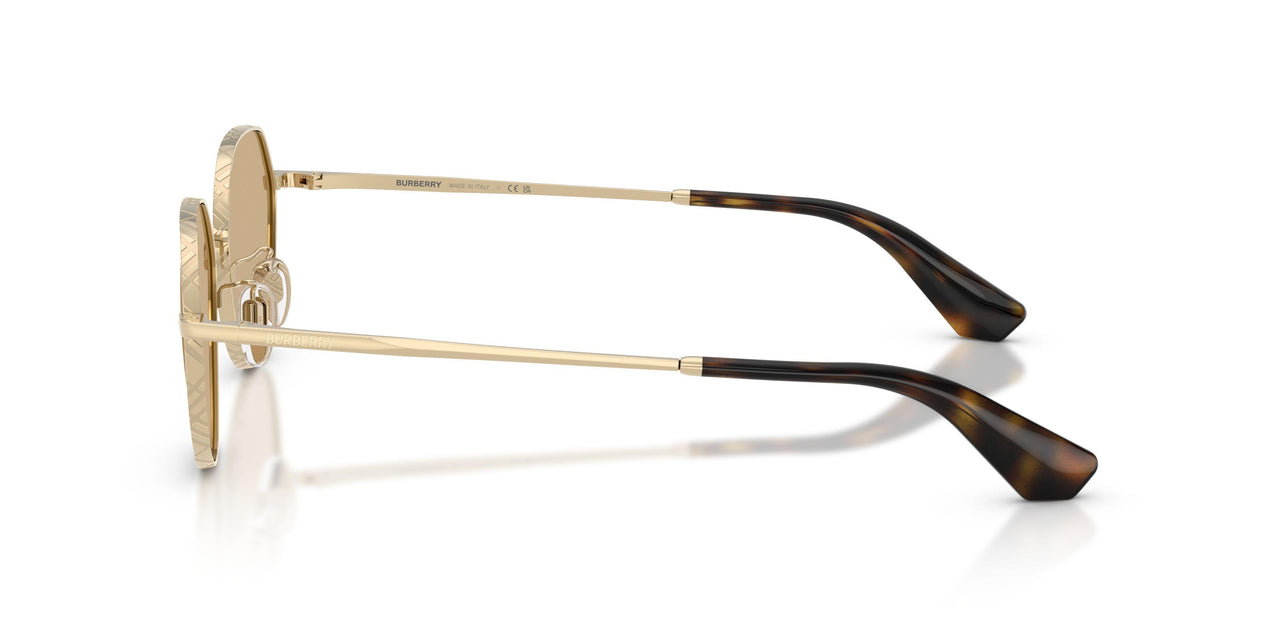 110973 - Gold - Dark Brown