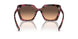 18N50C - Brown - Brown Gradient Grey