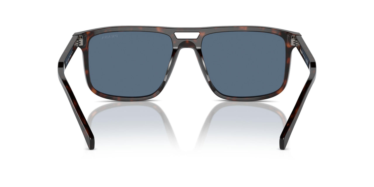17N06A - Tortoise - Dark Blue
