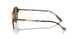 606573 - Brown - Dark Brown