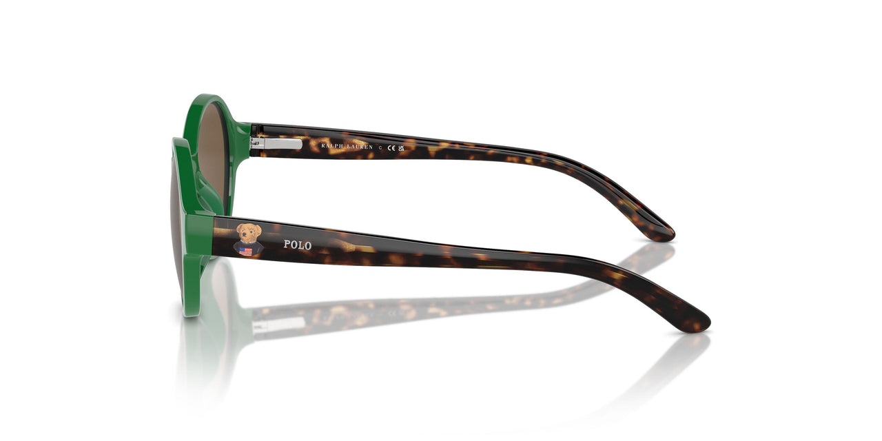 619273 - Green - Brown