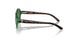619273 - Green - Brown