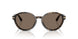 623573 - Tortoise - Dark Brown