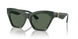 403871 - Green - Dark Green
