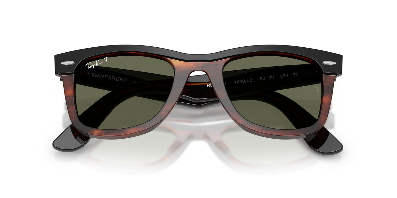 144058 - Black - Polarized Green