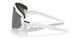 941830 - White - Prizm Black