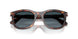 24/S3 - Tortoise - Light Blue Gradient Dark Blue