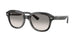 Ray-Ban Erik 4398F Sunglasses