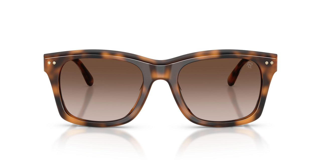 608913 - Tortoise - Gradient Brown