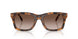 608913 - Tortoise - Gradient Brown