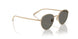 5035R5 - Gold - Carbon Grey