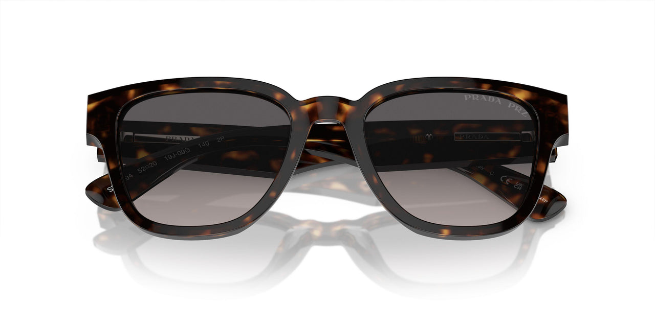 19J09G - Tortoise - Polarized Grey Gradient