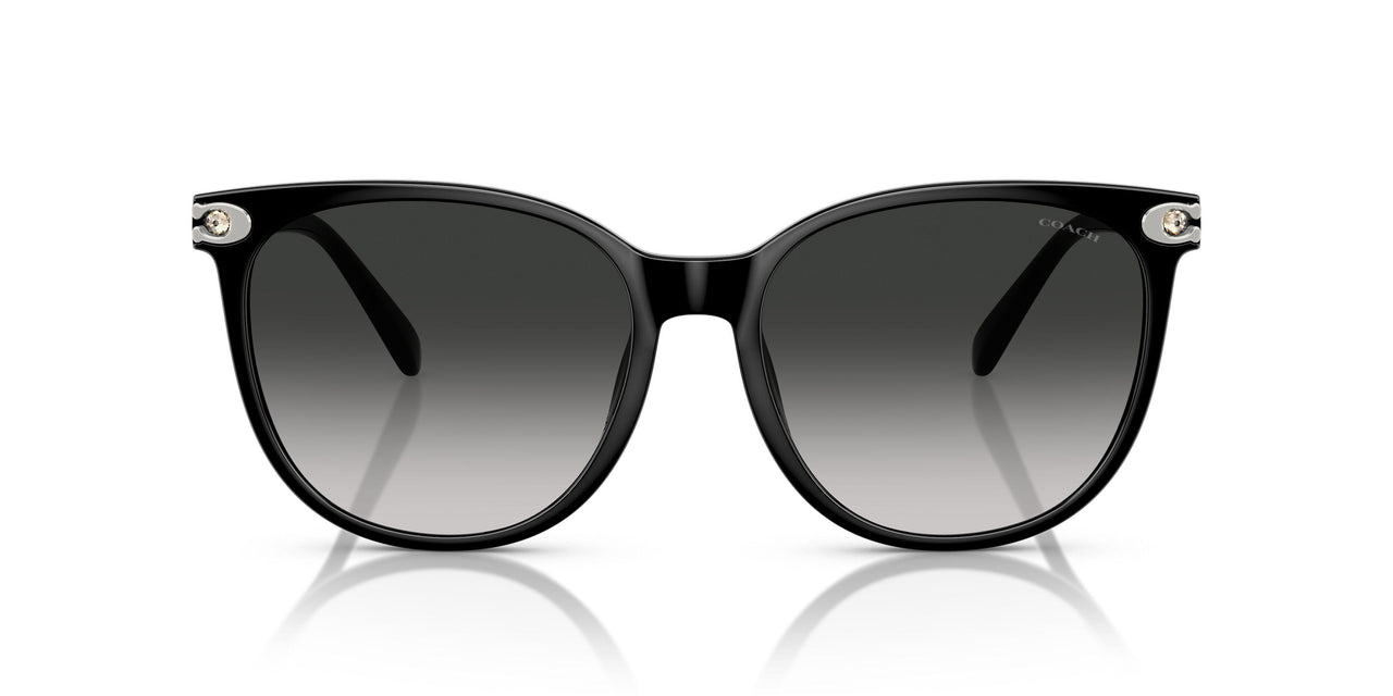 50023C - Black - Grey Gradient