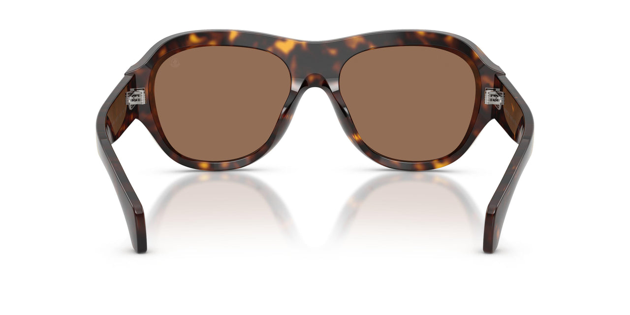 300273 - Tortoise - Brown Solid