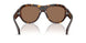 300273 - Tortoise - Brown Solid