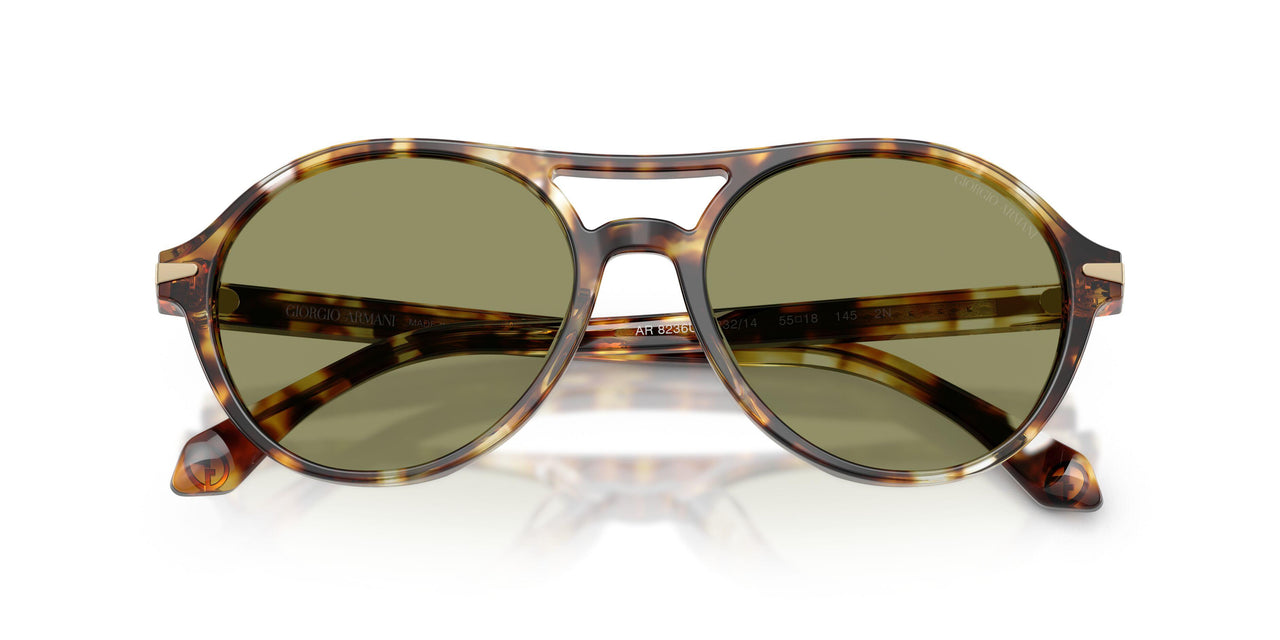 623214 - Tortoise - Green