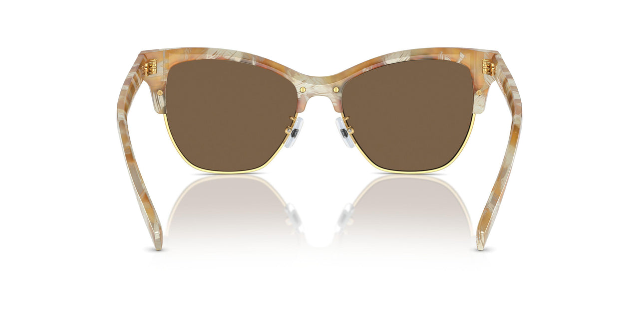 194973 - Brown - Dark Brown