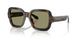 64782A - Tortoise - Green