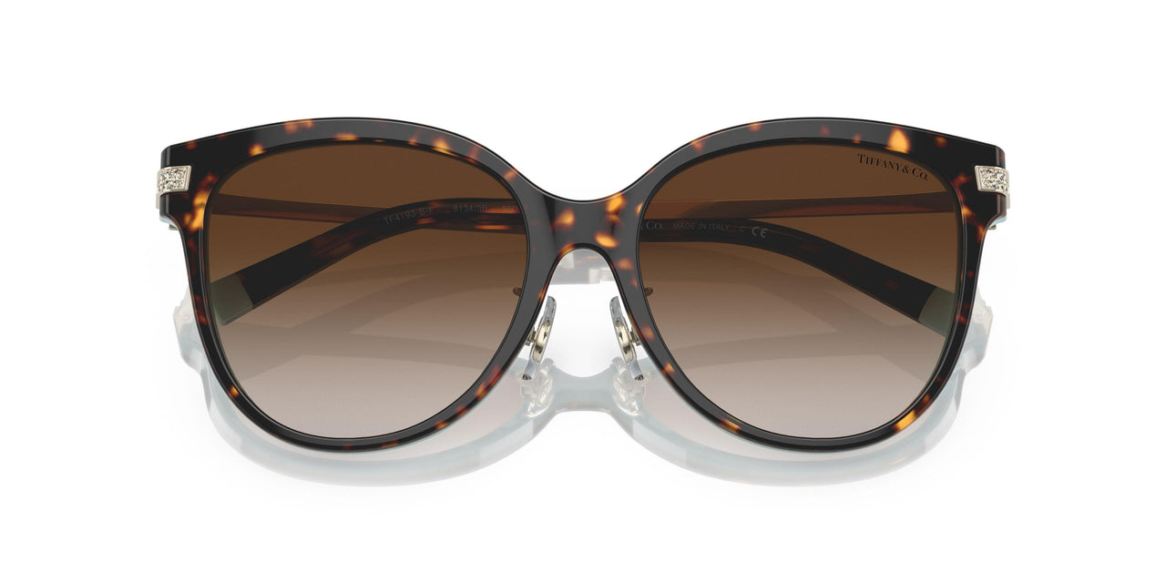 81343B - Havana - Brown Gradient
