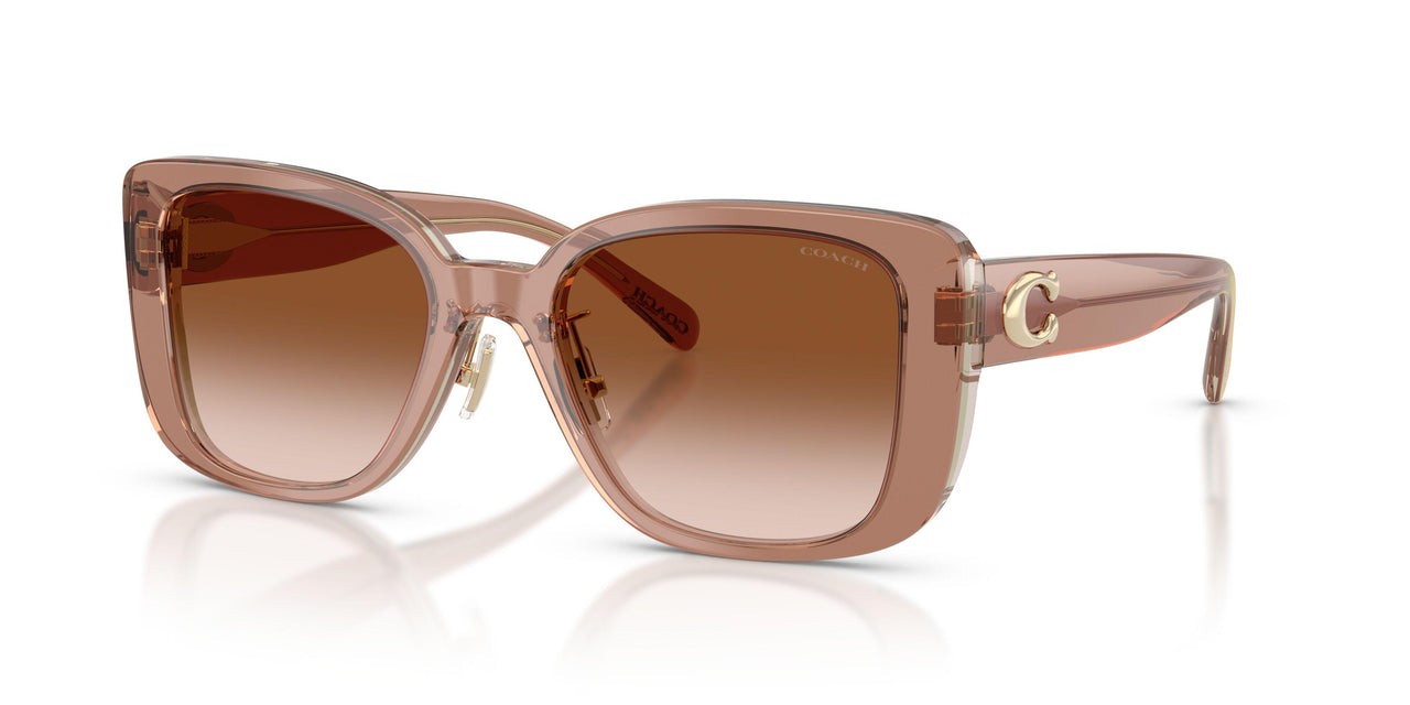 577913 - Brown - Brown Gradient