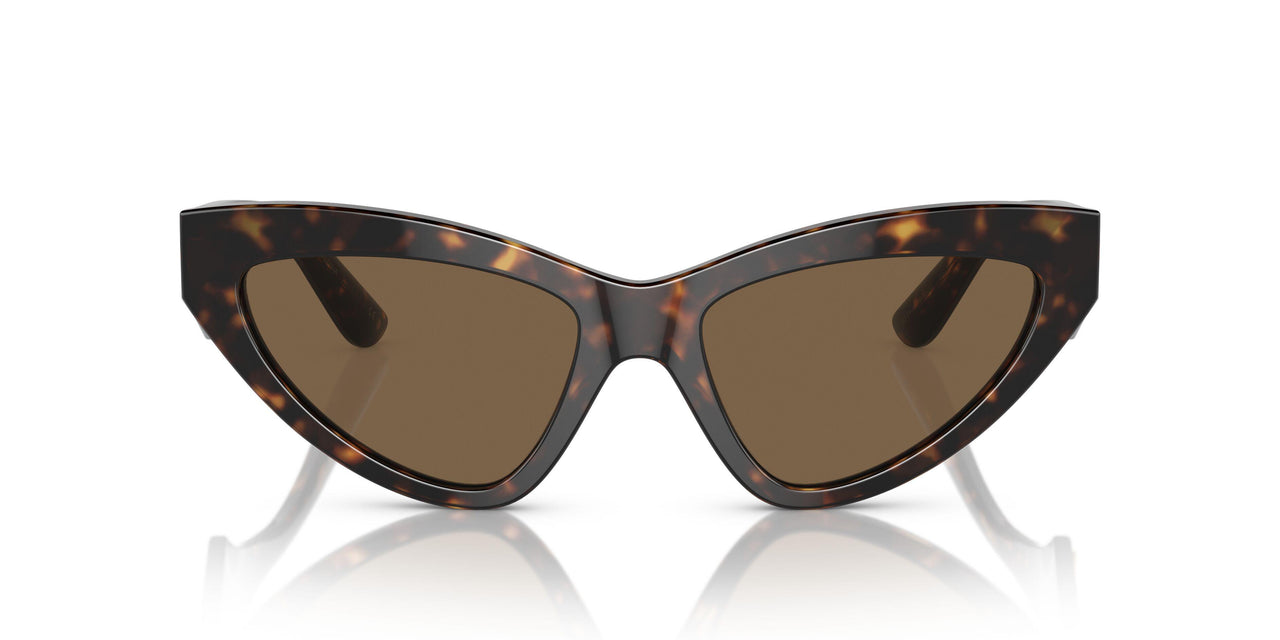 502/73 - Tortoise - Dark Brown
