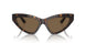 502/73 - Tortoise - Dark Brown