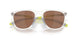 928615 - Transparent - Prizm Tungsten Polarized