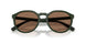 559673 - Green - Dark Brown
