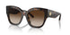 172813 - Havana - Brown Gradient