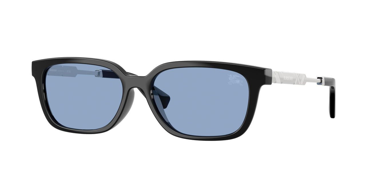 Burberry 4481D Sunglasses