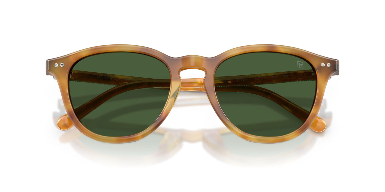 618571 - Tortoise - Bottle Green