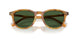 618571 - Tortoise - Bottle Green