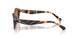 206673 - Multicolor - Amber