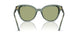 104382 - Green - Dark Green