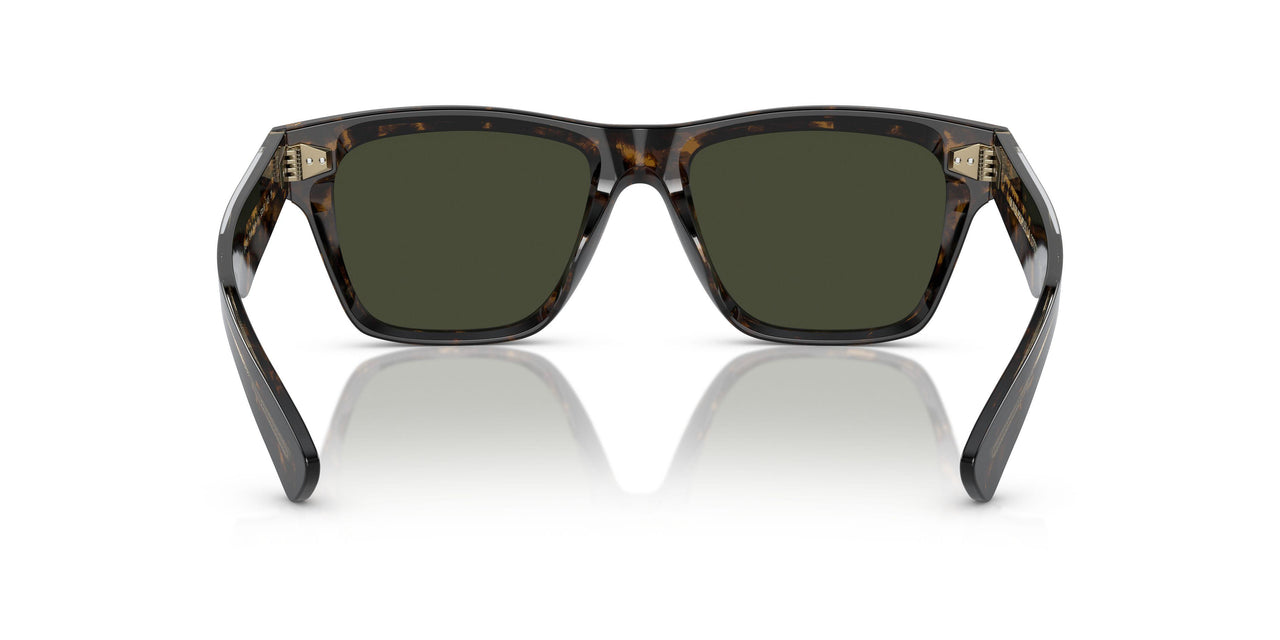 1747P1 - Tortoise - G-15 Polarized