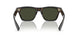 1747P1 - Tortoise - G-15 Polarized