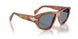 96/56 - Brown - Light Blue