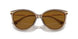 3938T5 - Brown - Brown Gradient Polarized