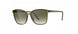 5530 - DEEP NATURE - Olive Green Gradient