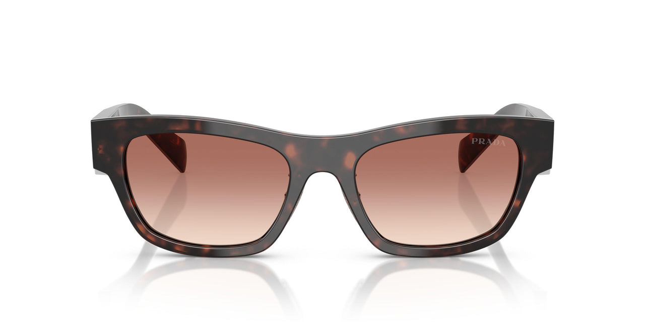 17N50L - Tortoise - Light Brown Gradient Bordeaux