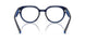 3009 - Blue