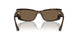 500273 - Tortoise - Dark Brown
