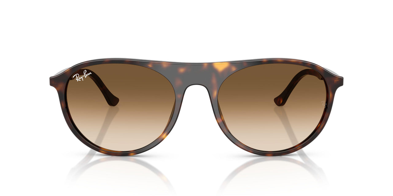 902/51 - Tortoise - Clear Gradient Brown
