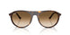 902/51 - Tortoise - Clear Gradient Brown