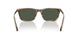 20P90V - Tortoise - Dark Green Polarized