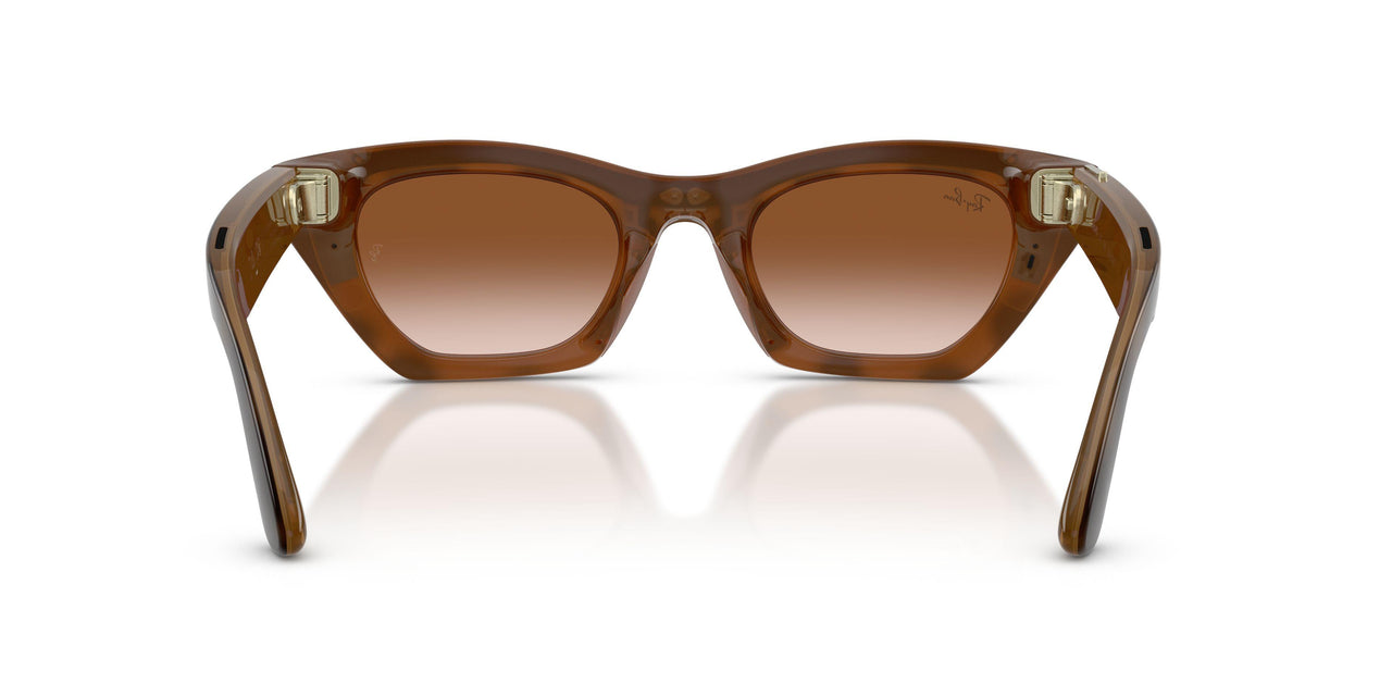 690513 - Tortoise - Gradient Brown
